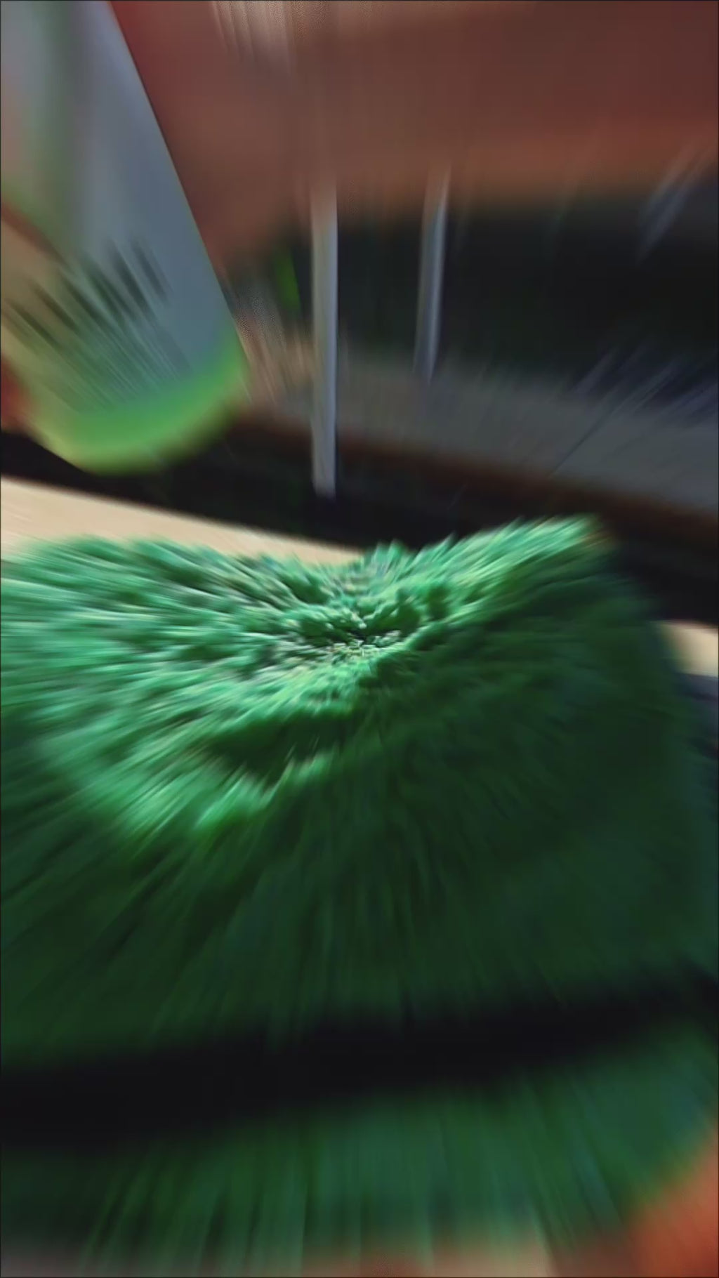 FOAM+